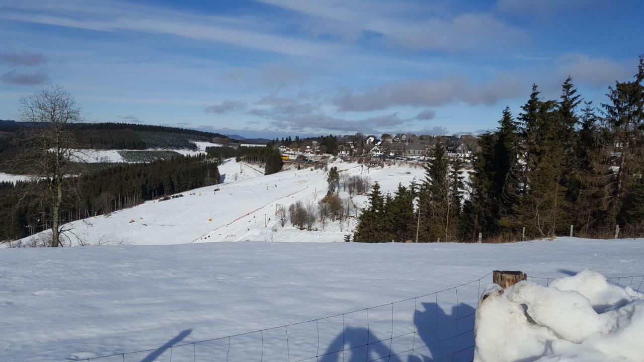Bergidylle Vakantiehuis Winterberg