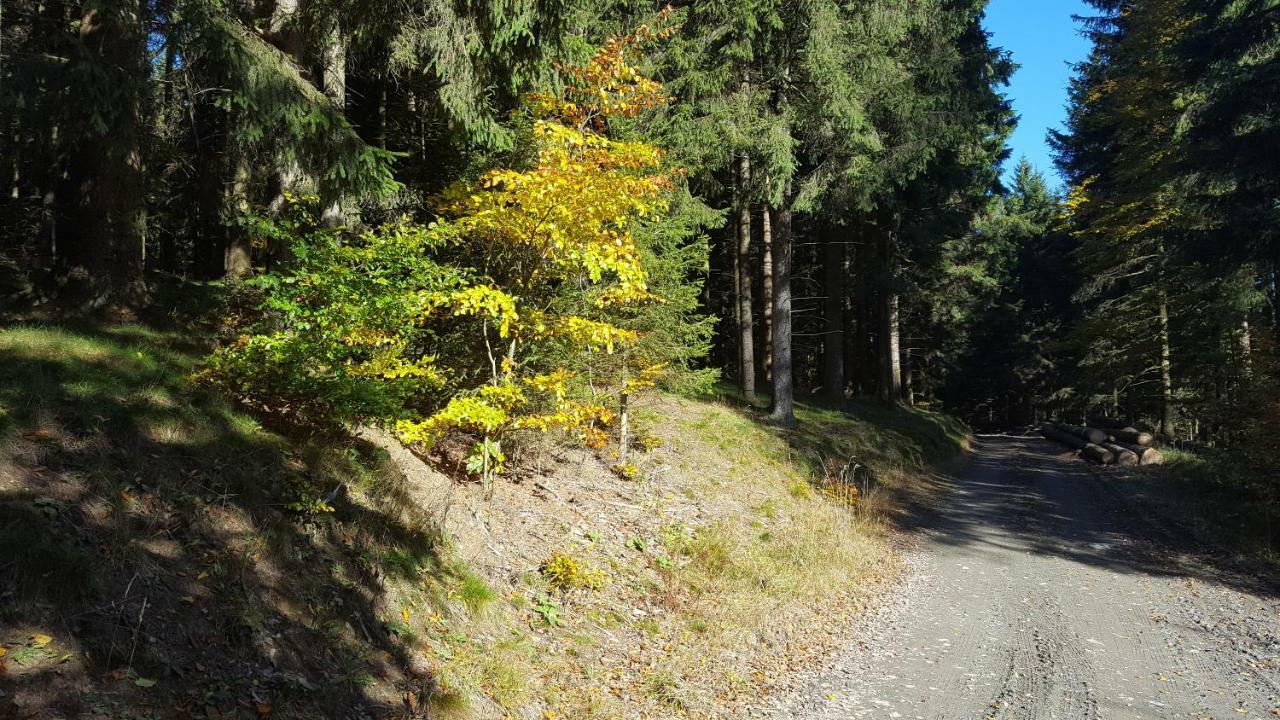 Bergidylle Vakantiehuis Winterberg