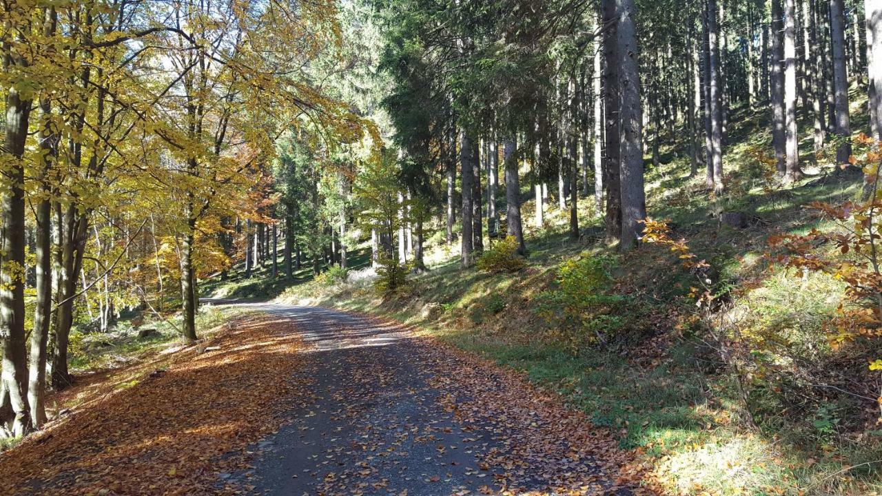 Bergidylle * Winterberg