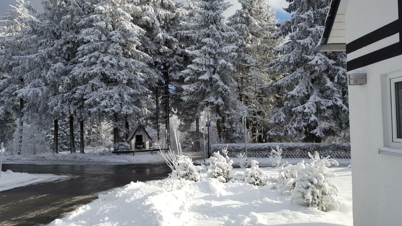 Bergidylle Winterberg